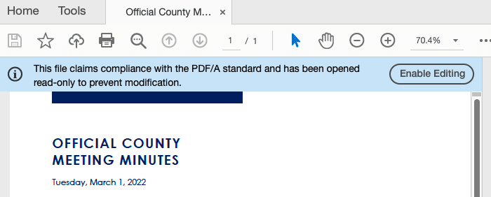 Screenshot of PDF-A of Official County Meeting Minutes