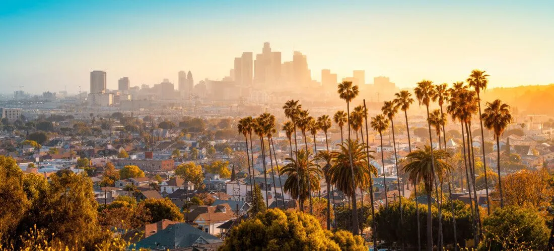 Skyline view of Los Angeles, CA with palm trees