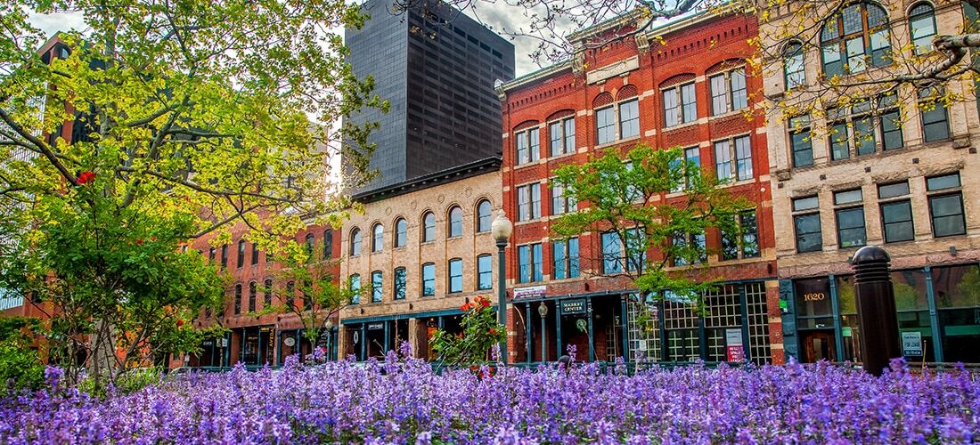Denver, Colorado Flowers Along Market Street in Downtown Denver, Colorado