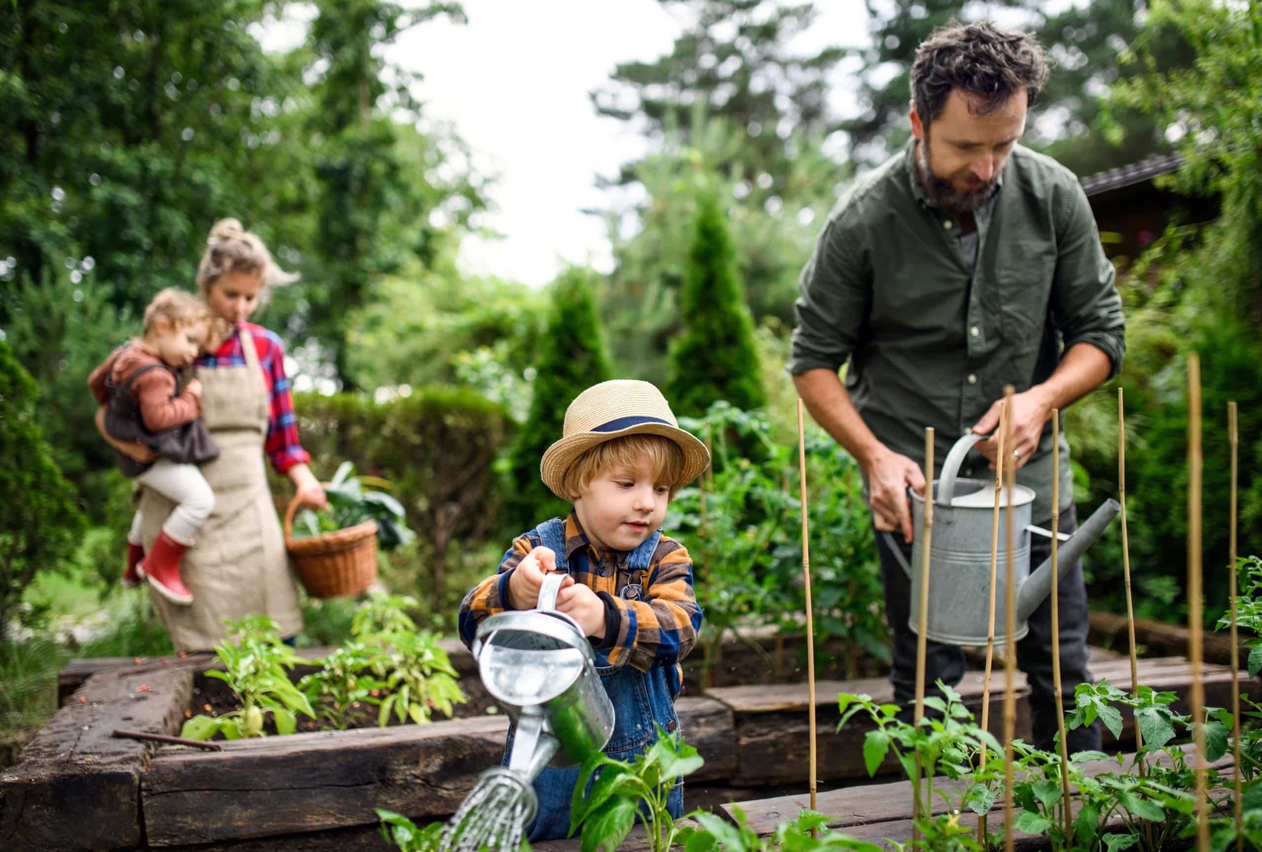 A family working together in a community garden is one example of community engagement