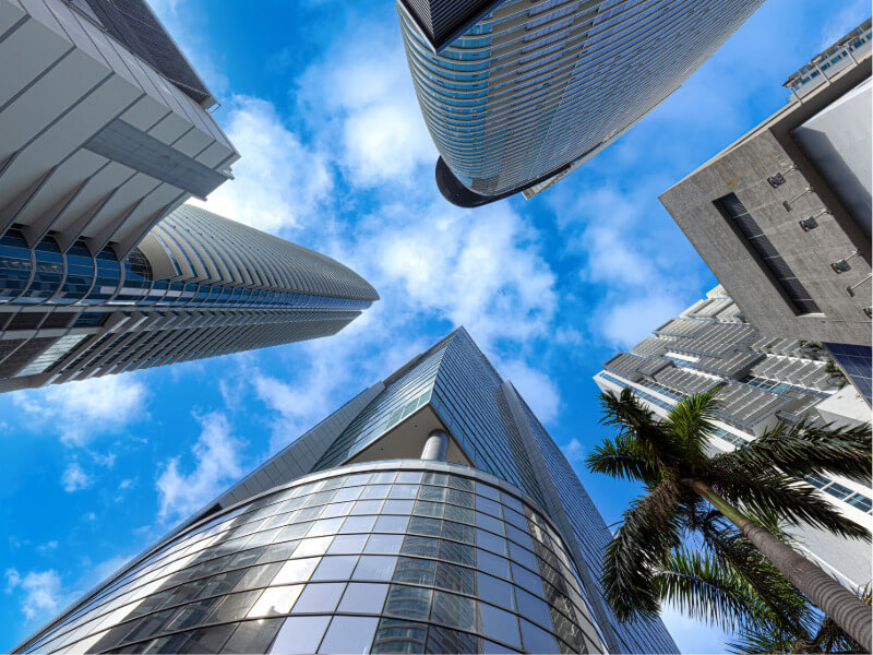 Sky view of business buildings and a palm tree